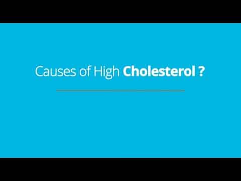 causes of high cholesterol text graphic